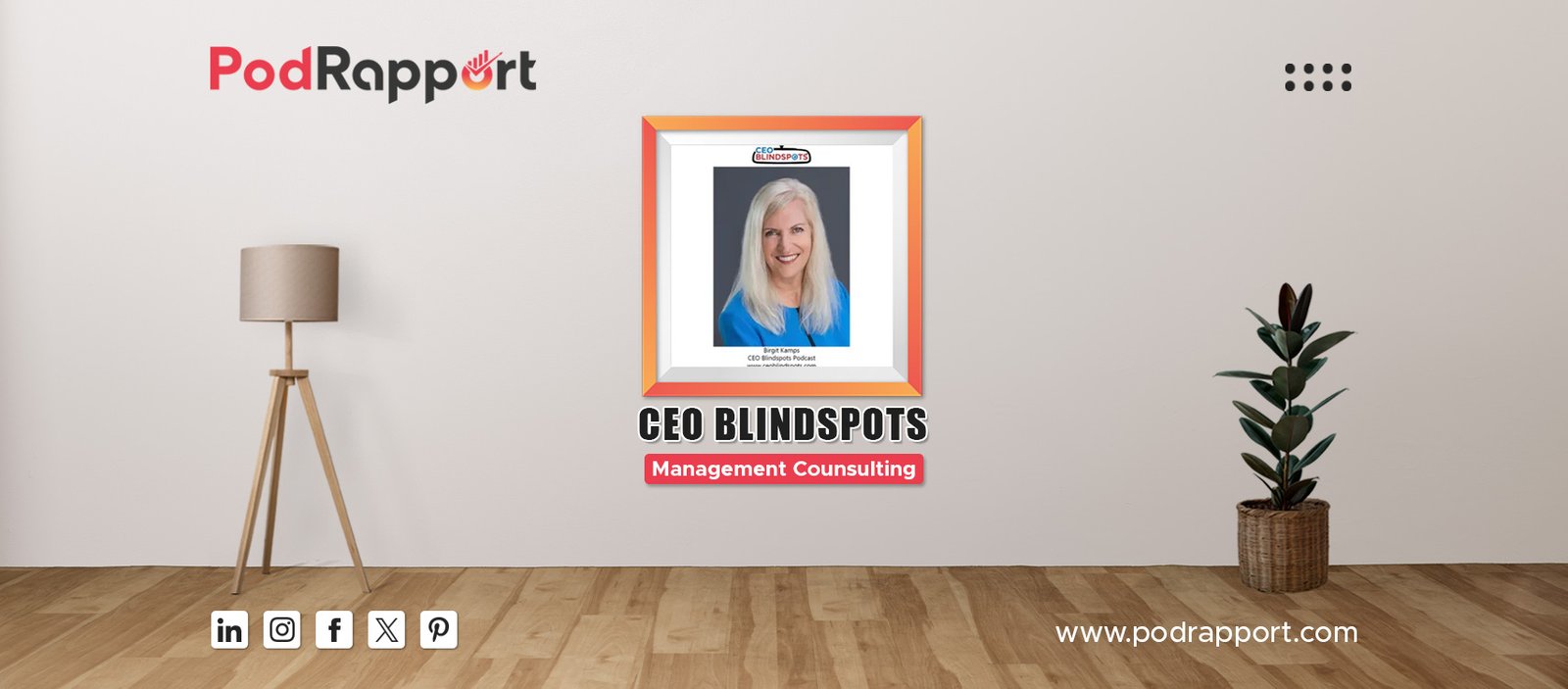 CEO Blindspots